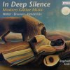 in-deep-silence-modern-guitar-music.jpg