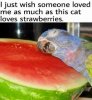 Cat-Loves-Strawberries.jpg