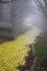 yellow brick road.jpg