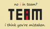 iinteam.png