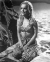 tuesday weld.jpg