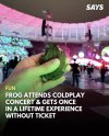 frog attends coldplay.jpg