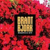 Brant Bjork - BS.jpg