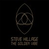 Steve Hillage - TGV.jpg