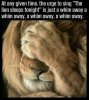 the-lion-sleeps-tonight.jpg