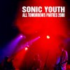 Sonic Youth - ATP2K.jpg