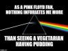 as-a-pink-floyd-fan.jpg