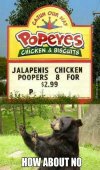 nice-try-popeyes-no-jalapenis-chicken-poopers-for-me.jpg