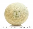 melon musk.jpg