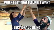 sectional ceiling.jpeg