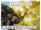 ermagerd.jpg