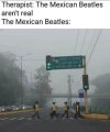 mexican beatles.jpg