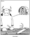 cow tools.jpg