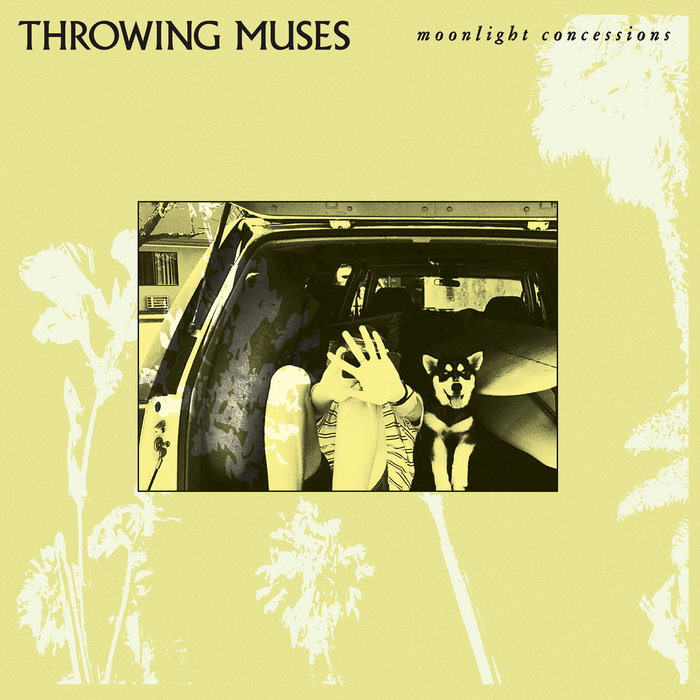 throwingmuses.bandcamp.com