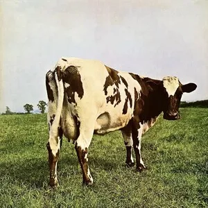 Pink Floyd - Atom Heart Mother - album cover